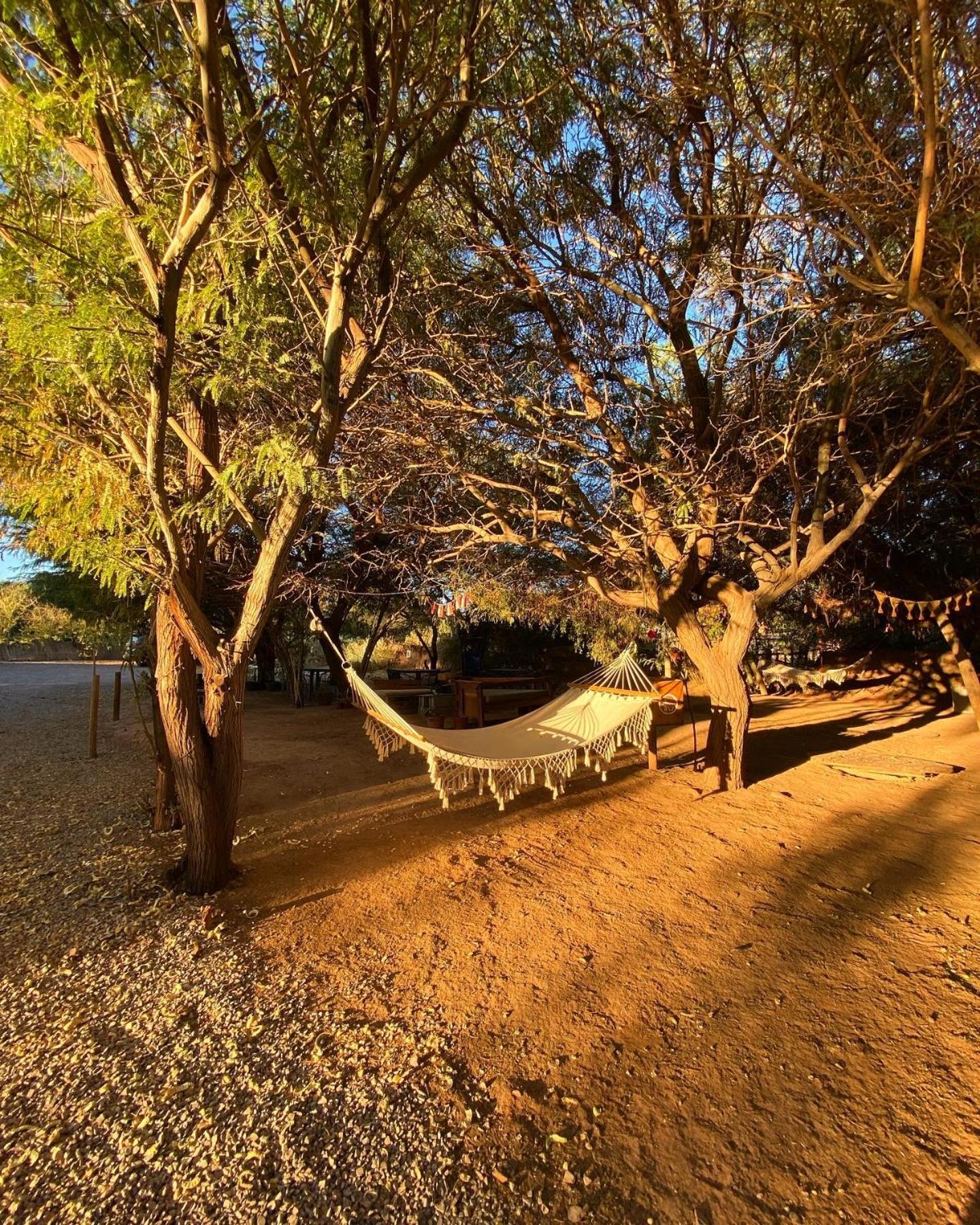 Caminandes Hostal San Pedro de Atacama Exteriér fotografie